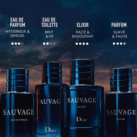 auto duft dior|sauvage dior sephora.